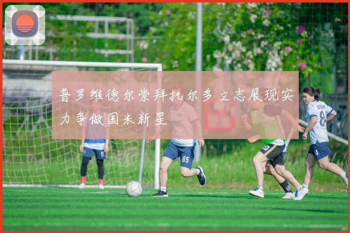 普罗维德尔崇拜托尔多立志展现实力争做国米新星