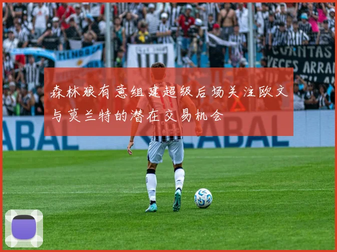 森林狼有意组建超级后场关注欧文与莫兰特的潜在交易机会